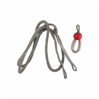 Naish linea elastica