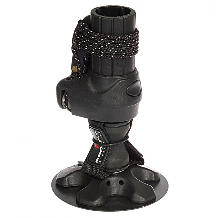 WS base M10