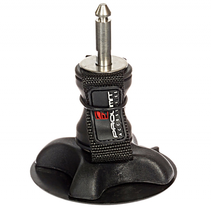 Piede d'albero M10